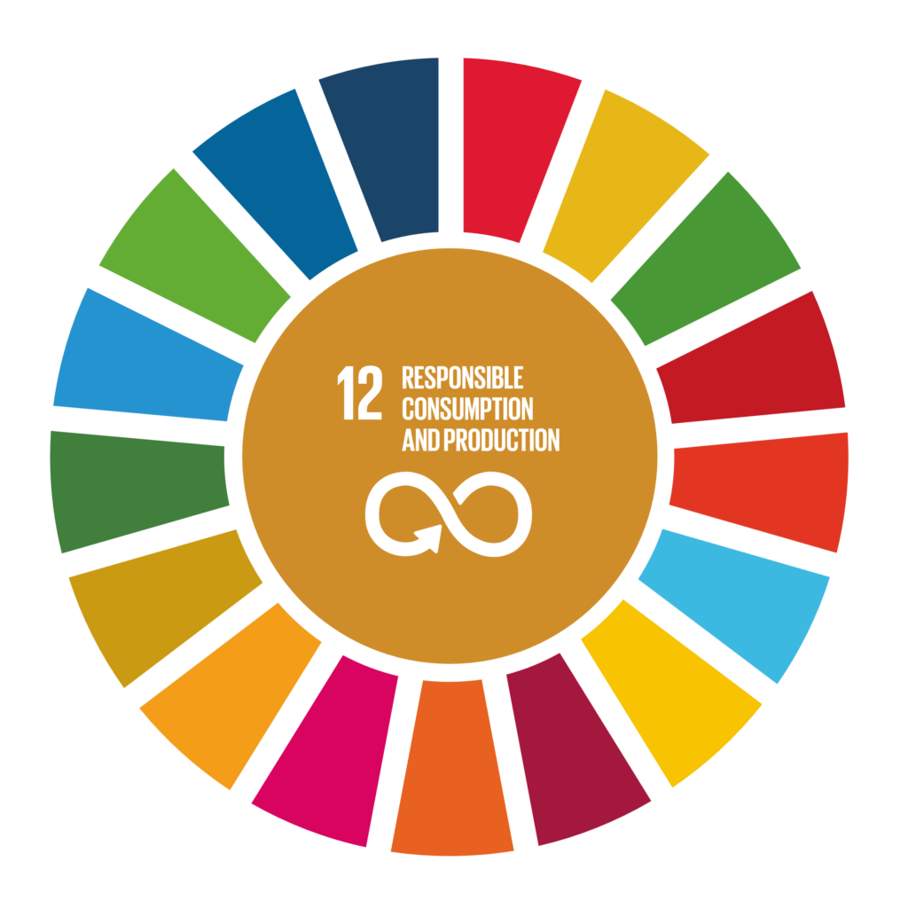 The Sustainable Development Goal with highlighted goal number 12