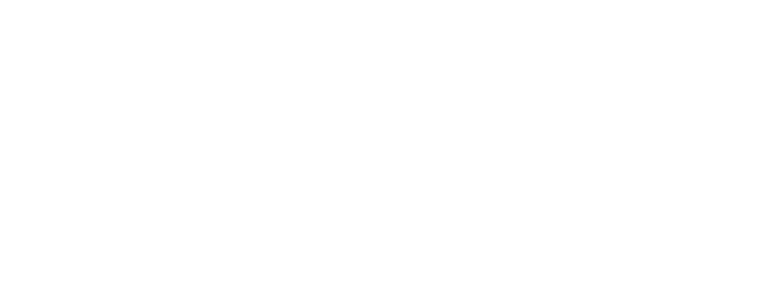 Schneider Electric Logo in white