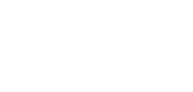 wbk Logo in white